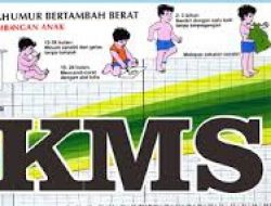 Pembagian KMS 2014 di Kota Yogyakarta Tersendat Birokrasi