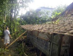 Angin Ribut Porandakan Rumah Warga