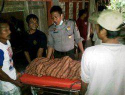Panen Kacang, Lima Peatani Tersambar Petir, 1 Tewas