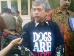 AFJ Desak Pemerintah DIY Terbitkan Peraturan Larangan Mengonsumsi Anjing