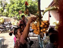 Di TPS 35 Ini, Pemilih Disuguhi Pisang dan Salak