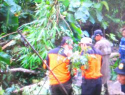Angin Ribut Tumbangkan Pohon Hancurkan Rumah Warga