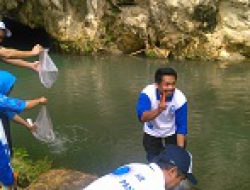Lestarikan Ekosistem, 5 Ribu Benih Ikan Ditebar di Goa Pindul