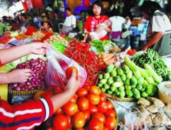 Jelang Ramadhan, Harga Cabai Rawit Anjlok