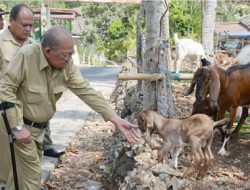 KGPAA Paku Alam IX Tilik Warga:  Ojo Sok Nganggo Tembung Kawulo Alit