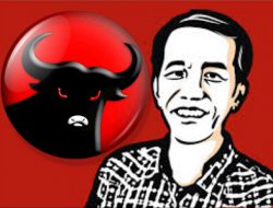 Hasil Survey IDM, Jokowi Diunggulkan Simpatisan untuk Pimpin PDIP