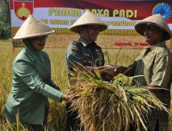 Dukung Ketahanan Pangan, Korem 072/Pmk Dorong Peningkatan Produktifitas Petani