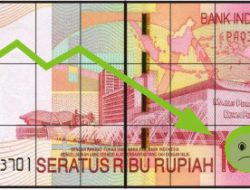Kurs Rupiah Anjlok, Pengamat: Jokowi Harus Perketat Kontrol Ekspor-Impor