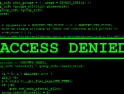 Terkait Pemblokiran SItus Islam, Bukti Rezim Otoriter?