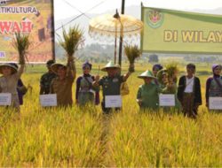 Wujudkan Program Ketahanan Pangan Korem  061/SK Panen Raya di Cipetir