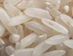 Belum Impor, Beras Palsu Masuk Duluan