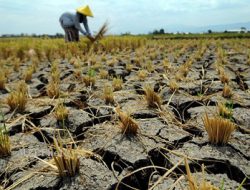 BPBD Sudah Siapkan Bantuan, Warga Bisa Lebih Tenang Hadapi Kekeringan