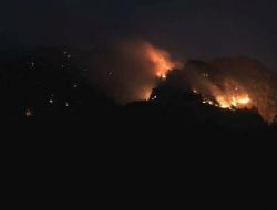 Idul Fitri Di Sumenep Disambut Kebarakan Hutan Kota