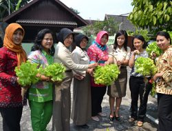 Persit Kartika Candra Kirana Panen Raya Tanaman Hidroponik