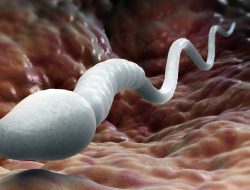 Heboh Sperma Rp50.000, UGM Akan Investigasi