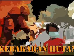 Akibat Kebakaran Hutan Merapi, Tanaman Endemik Musnah