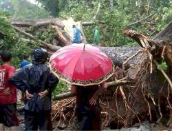 Akibat Angin Ribut, Gembira Loka Diperkirakan Rugi Miliaran