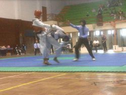Odo Wakil DIY di Turnamen Teakwondo Jepang Open 2016