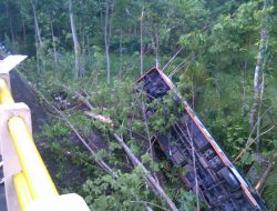 Bus Masuk Jurang, 7 Orang Terluka