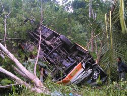 Dugaan Penyebab Bus Aneka Jaya Masuk Jurang