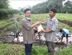 Rangkul Jenderalium, MSP Kembangkan Pertanian Organik Revolusioner dengan Hasil Spektakuler