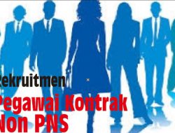 Pendaftaran Pegawai Non PNS di Pemda DIY Melalui Online,  Besok Ditutup