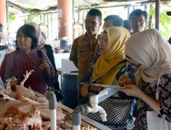 Paska Bencana di Gunungkidul, Harga Cabai Naik, Bawang Turun