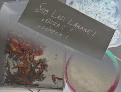 Tak Hanya Harga Beras, Cabai Juga Ikut Melejit di Yogyakarta