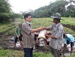 Terkait Impor Beras, Omah Tani Desak Presiden Evaluasi Kinerja Menteri Perdagangan