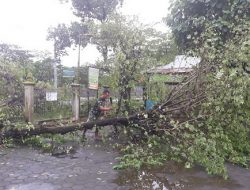 Cuaca Ekstrim Melanda Bantul, 14 Rumah Warga Rusak