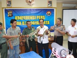 Polda DIY Gagalkan Perdagangan Satwa Langka Melalui Medsos
