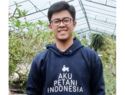 Pilkada Serentak dan Stop Impor Beras