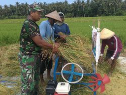 Dukung Swa Sembada Pangan, Prajurit Kodim Bantul Turun ke Sawah