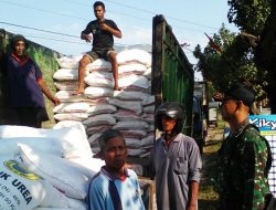 Babinsa Turut Kawal Penyaluran Bantuan Pupuk Bersubsidi dari Pemerintah di Canden