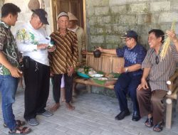 Padi MSP di Bantul Dipenen Kering