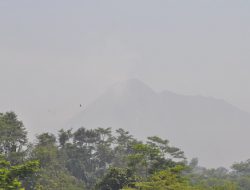 Debu Vulkanik Letusan Freatik Merapi Bisa Mengarah ke Yogyakarta