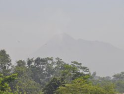 Gunung Merapi Kembali Erupsi Freatik, Masyarakat Diimbau Tidak Panik