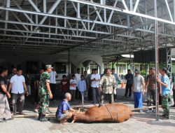 Idul Adha,  Kodim Yogyakarta Qurban Satu Sapi dan Enam Kambing