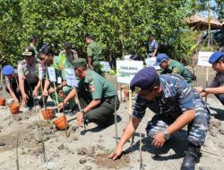 Turut Kembangkan Ekowisata, Lanal  Tanam Pohon Mangrove di Pantai Baros
