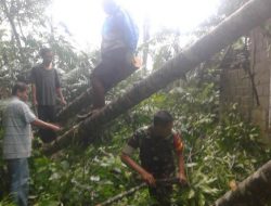 Koramil Pakem Gerak Cepat Atasi Dampak Puting Beliung