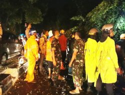 Hujan Disertai Angin Kencang, Beringin di Jalan Abu Bakar Ali Tumbang Timpa Mobil