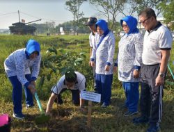 Kolinlamil Laksanakan Gerakan Penghijauan di Marunda