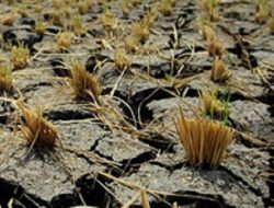 Atasi Kekeringan di Prambanan, BPBD Sleman Siapkan 300 Tangki Air Bersih