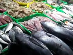 Dimasa Pandemic, Permintaan Global Seafood Meningkat