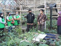 Pengabdian Kepada Masyarakat Fakultas Biologi UGM, Dorong Stabilitas Pangan
