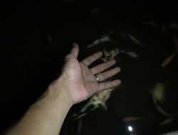 Teknologi Perikanan Berbasis IoT Karya UGM Melaju ke Kompetisi Global