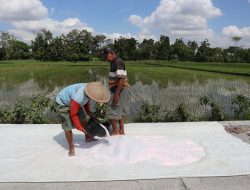 Kementerian ATR dan BPN Bantah UUCK Mendorong Alih Fungsi Lahan Sawah