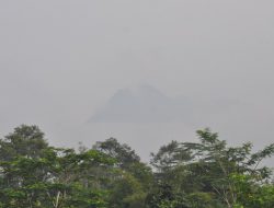 Merapi Muntahkan Awan Panas Guguran dan Lava Pijar, Rabu 24 Februari 2021
