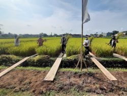 Ejawantahkan Lumbung Mataraman, KTMI Kembangkan Pertanian Microba