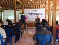 Kelompok Tani Bunga Krisan Kulonprogo Gunakan Pupuk Berbahan Urine